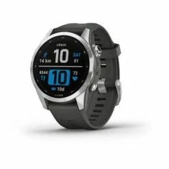 Montre GPS GARMIN FENIX 7S Standard Edition Gris